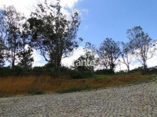 Lote / Terreno de Bairro Para Vender no bairro Br em Conceição Do Jacuípe