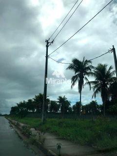 Lote / Terreno Comercial Para Vender no bairro Sim em Feira De Santana