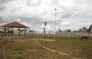 Lote / Terreno de Bairro Para Vender no bairro Br 101 em Amélia Rodrigues
