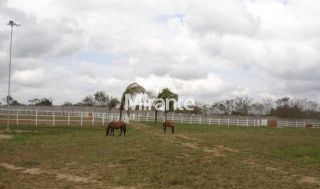 Lote / Terreno de Bairro Para Vender no bairro Br 101 em Amélia Rodrigues