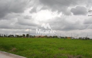 Lote / Terreno de Bairro Para Vender no bairro Br 101 em Amélia Rodrigues