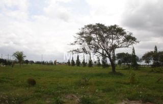 Lote / Terreno de Bairro Para Vender no bairro Br 101 em Amélia Rodrigues
