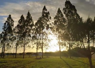 Lote / Terreno de Bairro Para Vender no bairro Br 101 em Amélia Rodrigues
