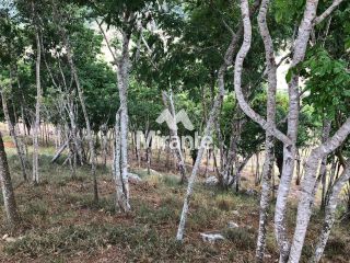 Fazenda Para Vender no bairro Zona Rural em Serra Preta