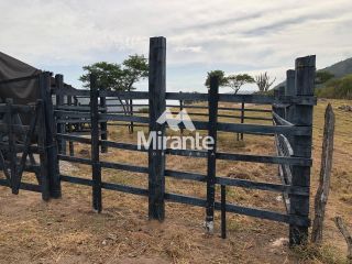 Fazenda Para Vender no bairro Zona Rural em Serra Preta