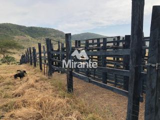 Fazenda Para Vender no bairro Zona Rural em Serra Preta