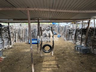 Fazenda Para Vender no bairro Zona Rural em Serra Preta
