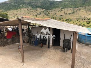 Fazenda Para Vender no bairro Zona Rural em Serra Preta