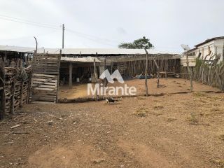 Fazenda Para Vender no bairro Zona Rural em Serra Preta