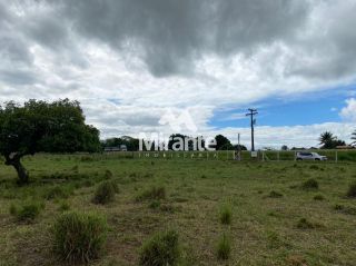 Lote / Terreno Comercial Para Vender no bairro Siltio Leticia em Santa Bárbara
