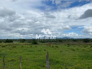 Lote / Terreno Comercial Para Vender no bairro Siltio Leticia em Santa Bárbara