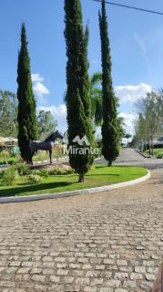 Lote / Terreno de Bairro Para Vender no bairro BR 324 em Feira De Santana