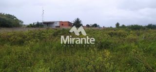 Lote / Terreno de Bairro Para Vender no bairro Papagaio em Feira De Santana