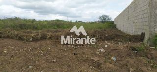 Lote / Terreno de Bairro Para Vender no bairro Papagaio em Feira De Santana