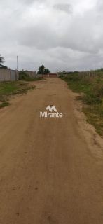Lote / Terreno de Bairro Para Vender no bairro Papagaio em Feira De Santana
