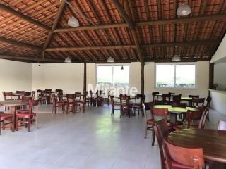 Lote / Terreno de Bairro Para Vender no bairro Br em Conceição Do Jacuípe