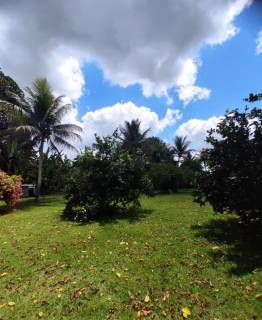 Fazenda com 4 dormitórios à venda, 265716 m² por R$ 1.500.000,00 - Barra do Jacuípe - Barra do Jacuípe/BA