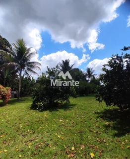 Fazenda Para Vender com 4 quartos no bairro Barra do Jacuípe em Barra Do Jacuípe