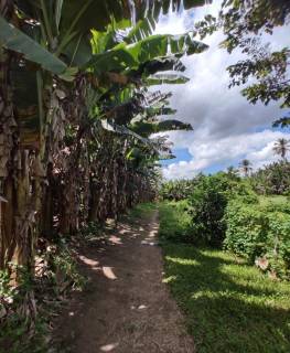Fazenda com 4 dormitórios à venda, 265716 m² por R$ 1.500.000,00 - Barra do Jacuípe - Barra do Jacuípe/BA