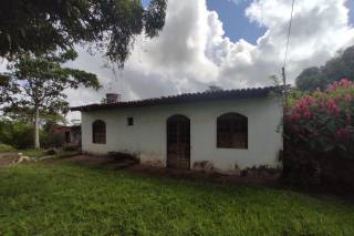 Sítio à venda, com 21780 m², excelente localização e fácil acesso por R$ 850.000 - Limoeiro - Feira de Santana/BA
