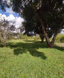 Sítio à venda, com 21780 m², excelente localização e fácil acesso por R$ 850.000 - Limoeiro - Feira de Santana/BA