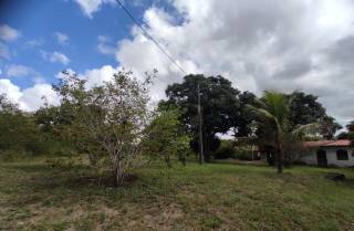 Sítio à venda, com 21780 m², excelente localização e fácil acesso por R$ 850.000 - Limoeiro - Feira de Santana/BA