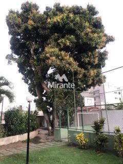 Cobertura Para Vender com 3 quartos sendo 1 suítes no bairro Santa Mônica em Feira De Santana