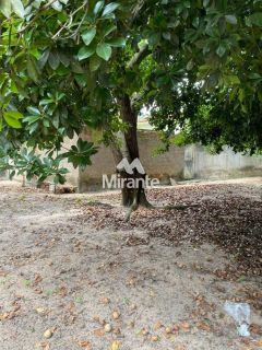 Casa Para Alugar no bairro Centro em Feira De Santana