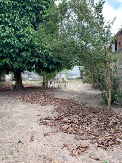 Casa Para Alugar no bairro Centro em Feira De Santana
