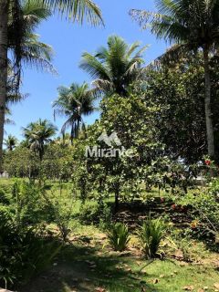 Chácara Para Vender com 4 quartos sendo 2 suítes no bairro Lagoa Salgada em Feira De Santana