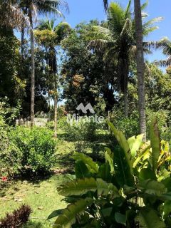 Chácara Para Vender com 4 quartos sendo 2 suítes no bairro Lagoa Salgada em Feira De Santana