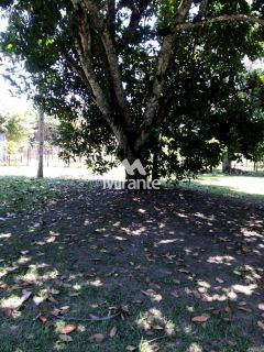 Chácara Para Vender com 4 quartos sendo 2 suítes no bairro Lagoa Salgada em Feira De Santana