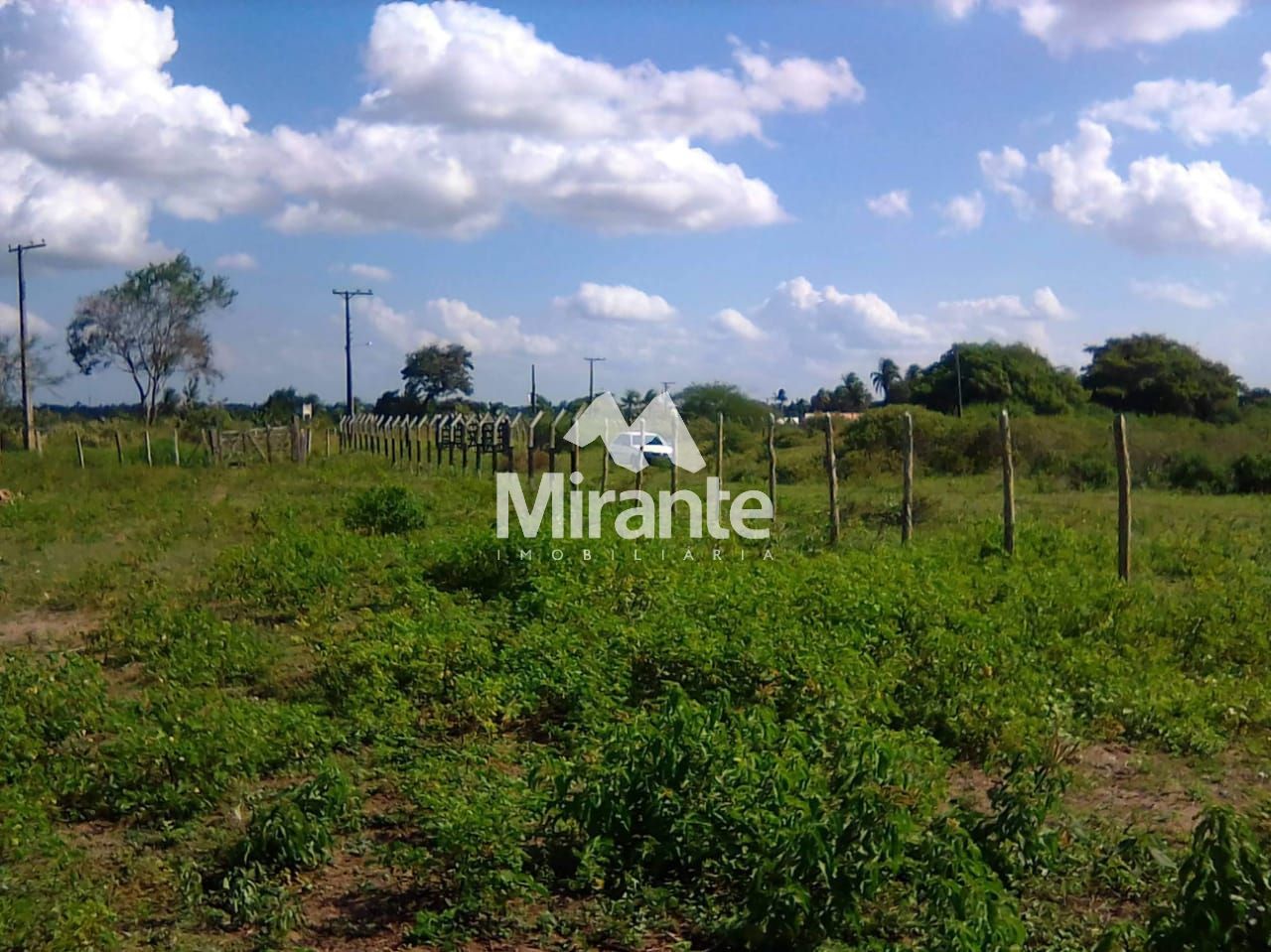 Lote / Terreno Comercial Para Vender no bairro Lagoa Salgada em Feira De Santana