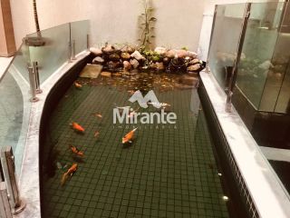 Sala Comercial Para Vender no bairro Capuchinhos em Feira De Santana