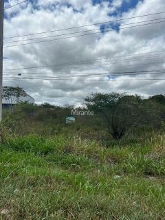 Lote / Terreno Comercial Para Vender no bairro Distrito de Humildes em Feira De Santana