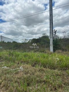 Lote / Terreno Comercial Para Vender no bairro Distrito de Humildes em Feira De Santana