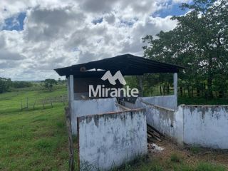 Chácara Para Vender no bairro Centro em Coração De Maria