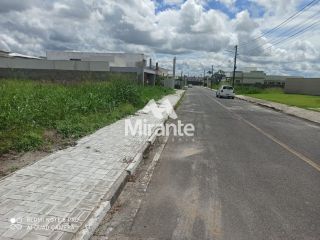Lote / Terreno de Bairro Para Vender no bairro Papagaio em Feira De Santana