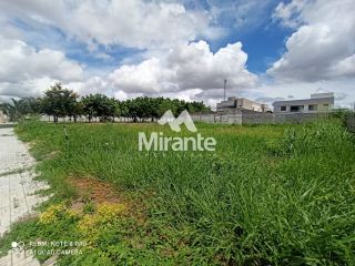 Lote / Terreno de Bairro Para Vender no bairro Papagaio em Feira De Santana