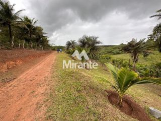 Sítio Para Vender no bairro Zona Rural em Conceição Do Jacuípe
