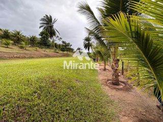 Sítio Para Vender no bairro Zona Rural em Conceição Do Jacuípe