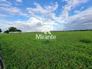Lote / Terreno Comercial Para Vender no bairro Zona Rural em Conceição Do Jacuípe