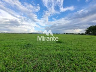 Lote / Terreno Comercial Para Vender no bairro Zona Rural em Conceição Do Jacuípe