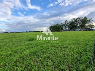 Lote / Terreno Comercial Para Vender no bairro Zona Rural em Conceição Do Jacuípe
