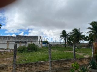 Lote / Terreno Comercial Para Vender no bairro Tomba em Feira De Santana