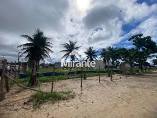 Lote / Terreno Comercial Para Vender no bairro Tomba em Feira De Santana