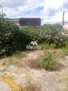Lote / Terreno de Bairro Para Alugar no bairro Ponto Central em Feira De Santana