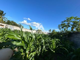 Lote / Terreno de Bairro Para Alugar no bairro Lagoa Salgada em Feira De Santana