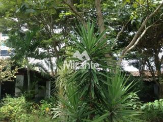Casa Para Alugar no bairro Santa Mônica em Feira De Santana