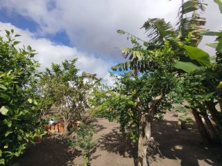 Casa Para Vender com 4 quartos sendo 1 suíte no bairro Baraúna em Feira De Santana